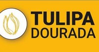Túlipa Dourada - Pastelaria